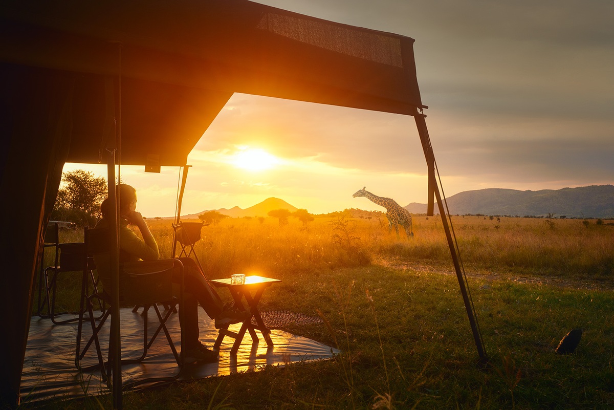 Safaris
