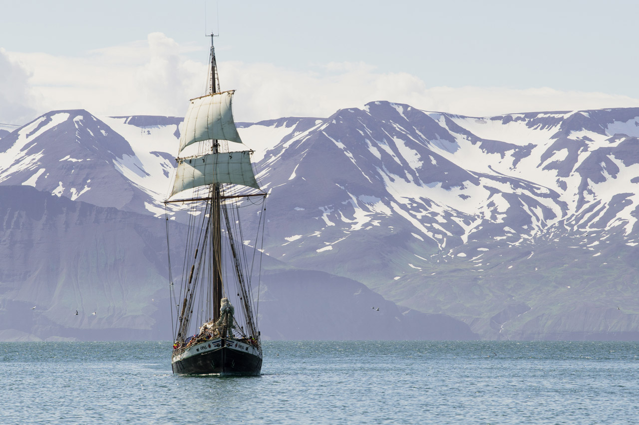 Pirate Bay sails ship to Iceland, avoids iceberg in Sweden